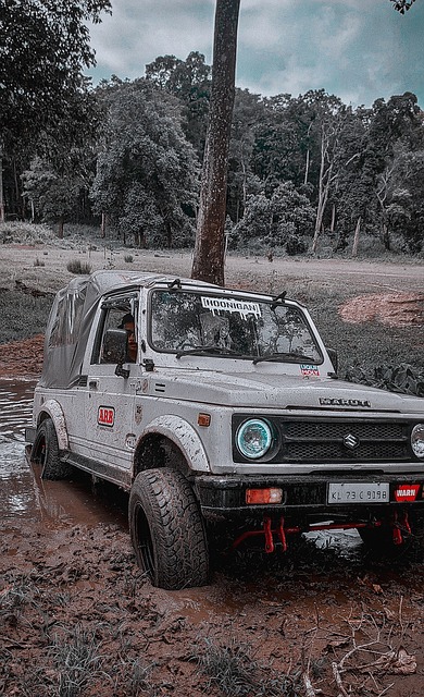 神勇表現 神勇表現