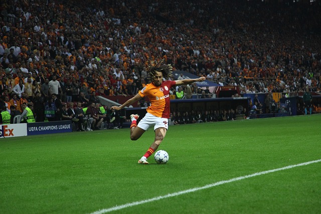 对年轻球员 对年轻球员