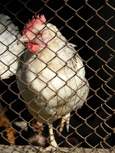 都可能成为 都可能成为